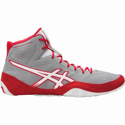 Asics Dan Gable Evo - Miesten Painikengät - Harmaat/Valkoinen